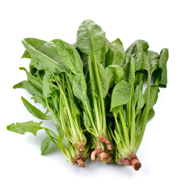 菠菜配送-粵崗蔬菜配送